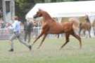 malvern_014_small.jpg