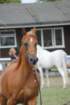 malvern_015_small.jpg