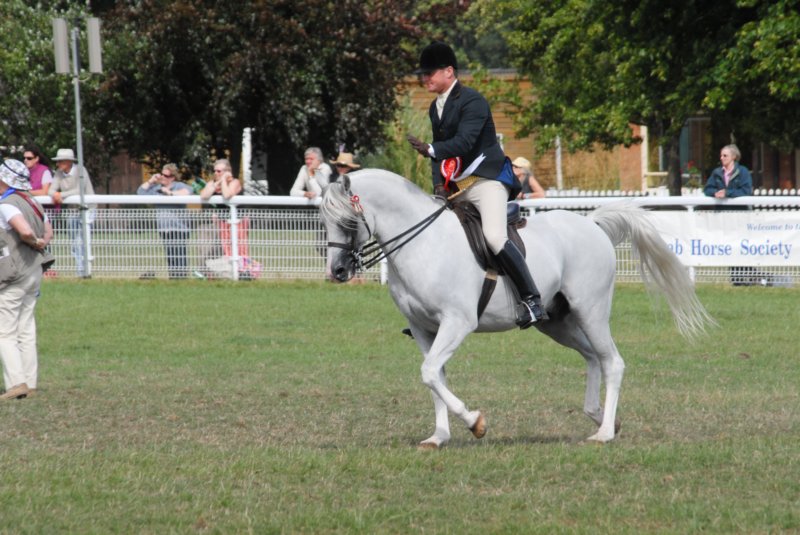 Malvern_114 malvern_114.jpg