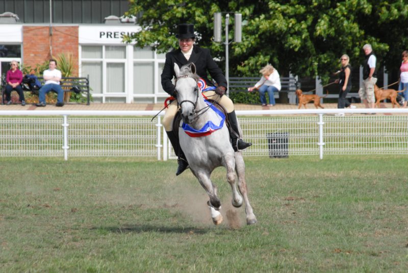 Malvern_124 malvern_124.jpg