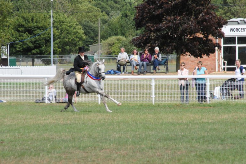 Malvern_128 malvern_128.jpg