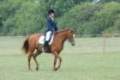 2010-08-15_dassa_dressage_15th_aug_2010_index.jpg