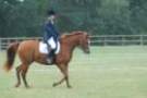 dassa_dressage_15th_aug_10_06_small.jpg