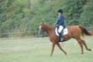 dassa_dressage_15th_aug_10_07_small.jpg