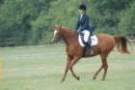 dassa_dressage_15th_aug_10_08_small.jpg