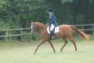 dassa_dressage_15th_aug_10_11_small.jpg