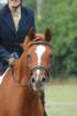 dassa_dressage_15th_aug_10_12_small.jpg
