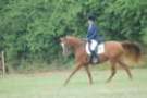 dassa_dressage_15th_aug_10_13_small.jpg