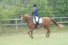 dassa_dressage_15th_aug_10_14_small.jpg