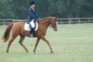 dassa_dressage_15th_aug_10_16_small.jpg