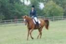 dassa_dressage_15th_aug_10_17_small.jpg