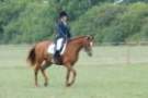 dassa_dressage_15th_aug_10_18_small.jpg