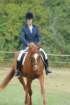 dassa_dressage_15th_aug_10_19_small.jpg