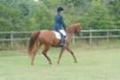dassa_dressage_15th_aug_10_20_small.jpg