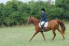 dassa_dressage_15th_aug_10_21_small.jpg