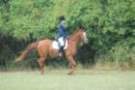 dassa_dressage_15th_aug_10_22_small.jpg