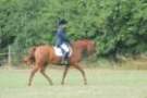 dassa_dressage_15th_aug_10_23_small.jpg