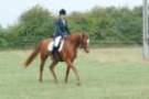 dassa_dressage_15th_aug_10_25_small.jpg