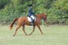 dassa_dressage_15th_aug_10_26_small.jpg