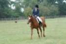 dassa_dressage_15th_aug_10_28_small.jpg