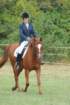 dassa_dressage_15th_aug_10_29_small.jpg