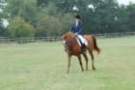 dassa_dressage_15th_aug_10_32_small.jpg