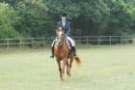 dassa_dressage_15th_aug_10_35_small.jpg