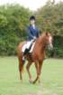 dassa_dressage_29th_aug_10_003_small.jpg