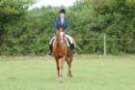 dassa_dressage_29th_aug_10_004_small.jpg