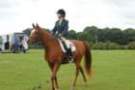 dassa_dressage_29th_aug_10_005_small.jpg