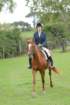 dassa_dressage_29th_aug_10_007_small.jpg