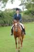 dassa_dressage_29th_aug_10_008_small.jpg