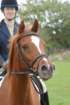 dassa_dressage_29th_aug_10_009_small.jpg