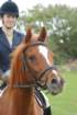 dassa_dressage_29th_aug_10_010_small.jpg