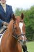 dassa_dressage_29th_aug_10_013_small.jpg