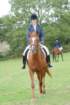 dassa_dressage_29th_aug_10_016_small.jpg