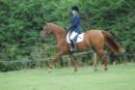 dassa_dressage_29th_aug_10_018_small.jpg