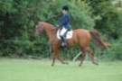 dassa_dressage_29th_aug_10_019_small.jpg
