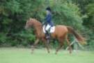 dassa_dressage_29th_aug_10_020_small.jpg