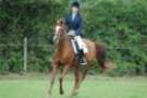 dassa_dressage_29th_aug_10_022_small.jpg
