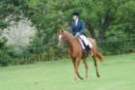 dassa_dressage_29th_aug_10_027_small.jpg