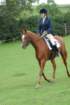 dassa_dressage_29th_aug_10_028_small.jpg