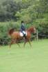 dassa_dressage_29th_aug_10_029_small.jpg