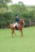 dassa_dressage_29th_aug_10_031_small.jpg