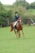 dassa_dressage_29th_aug_10_032_small.jpg