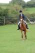 dassa_dressage_29th_aug_10_033_small.jpg