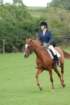 dassa_dressage_29th_aug_10_034_small.jpg