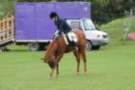 dassa_dressage_29th_aug_10_035_small.jpg