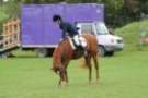 dassa_dressage_29th_aug_10_036_small.jpg