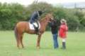 2010-08-29_dassa_dressage_29th_aug_2010_index.jpg
